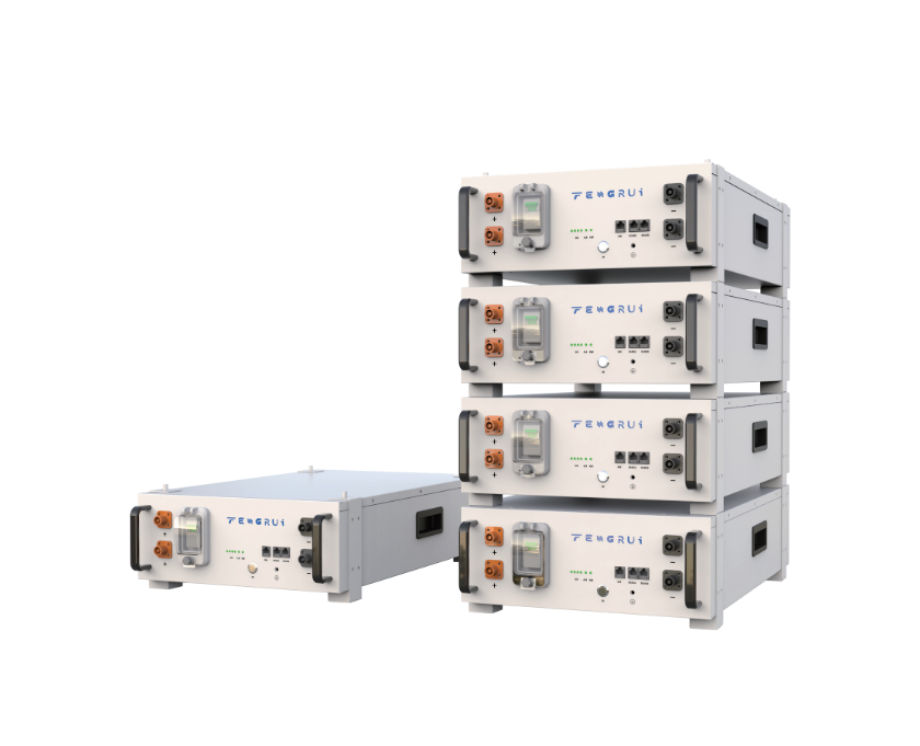 低压机架式储能锂电池 FJ48100